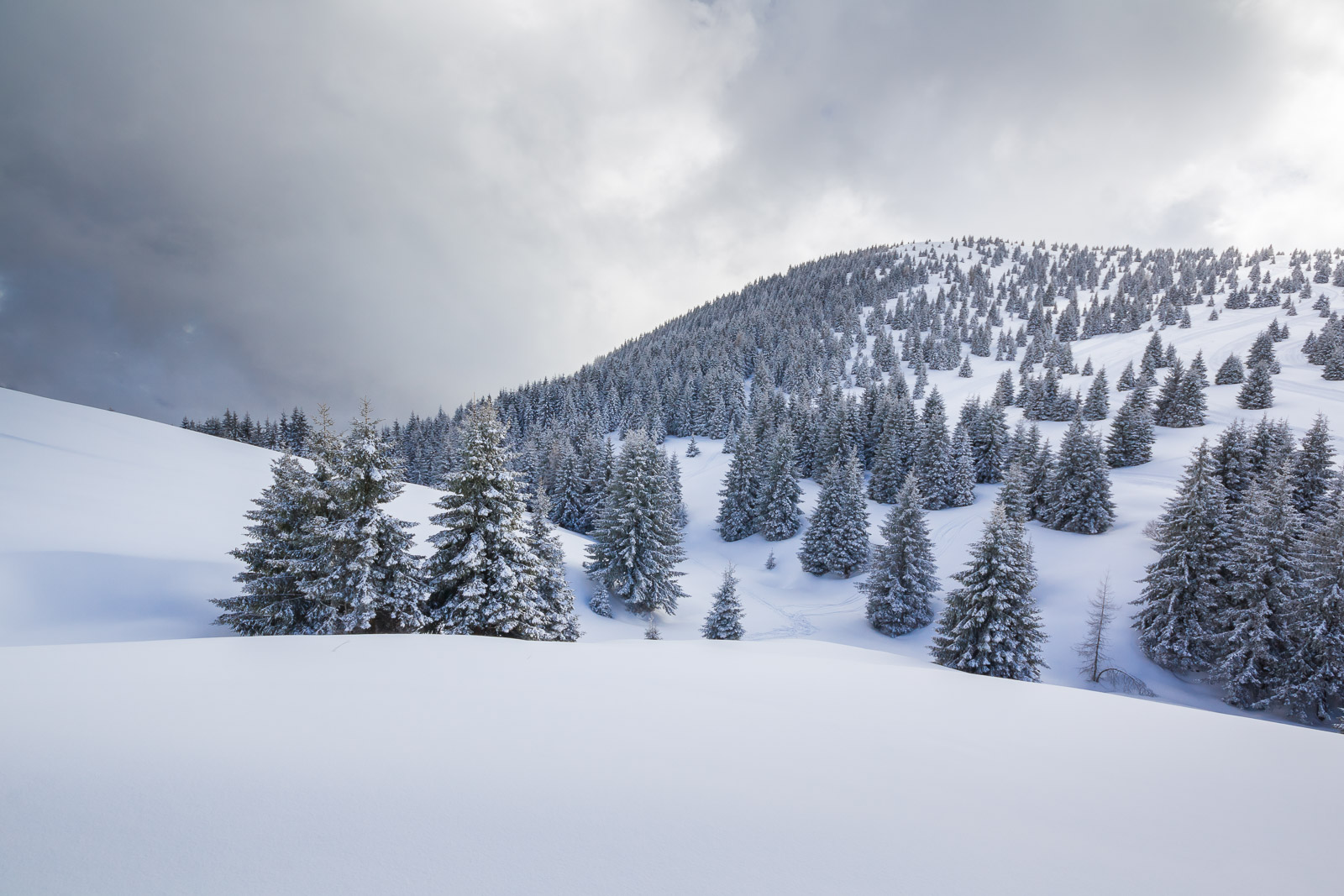 Paesaggi Innevati Sul Monte Alto Terre Fredde